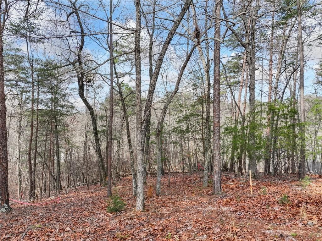 single family residence for sale at Lot 20 Crown Mountain Way, Dahlonega, GA 30533 — photo 9
