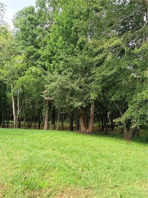 single family residence for sale at 10 Faith Lane, Cartersville, GA 30120 — photo 10
