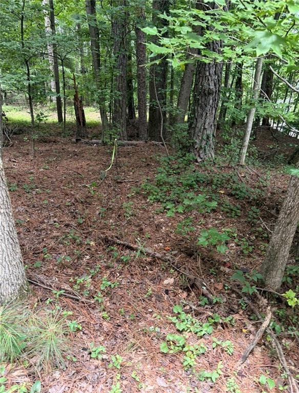 other for sale at 3343 Powder Springs Road, Powder Springs, GA 30127 — photo 2