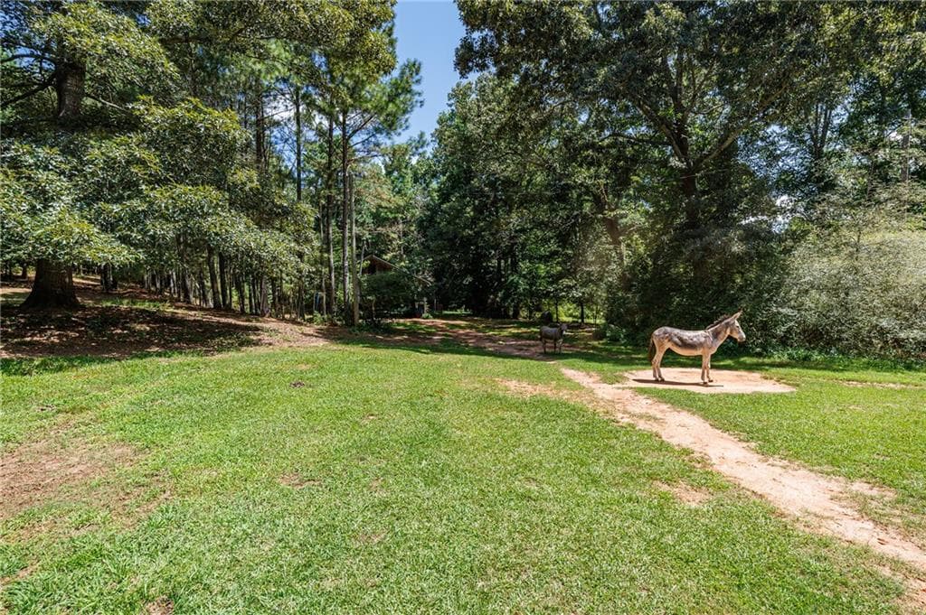 3 bedroom, 1 bathroom single family residence under contract at 2140 Wilkie Road, Alpharetta, GA 30004 — photo 6