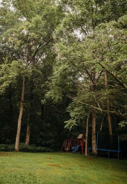 3 bedroom, 1 bathroom, 1,056 sq ft single family residence for sale at 200 Old Woodring Road, Ellijay, GA 30540 — photo 10