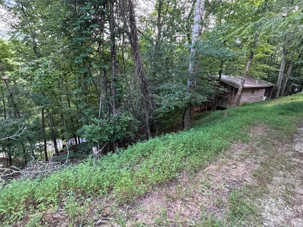 1 bedroom, 1 bathroom single family residence for sale at 1163 Tipton Springs Road, Morganton, GA 30560 — photo 2