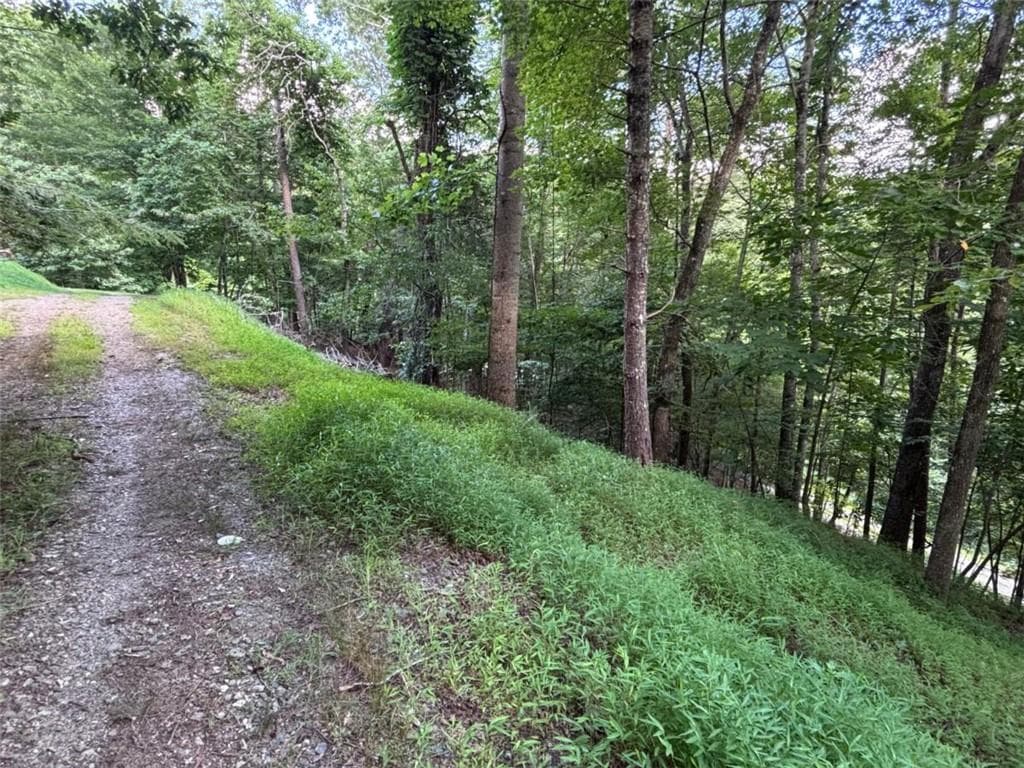 1 bedroom, 1 bathroom single family residence for sale at 1163 Tipton Springs Road, Morganton, GA 30560 — photo 3