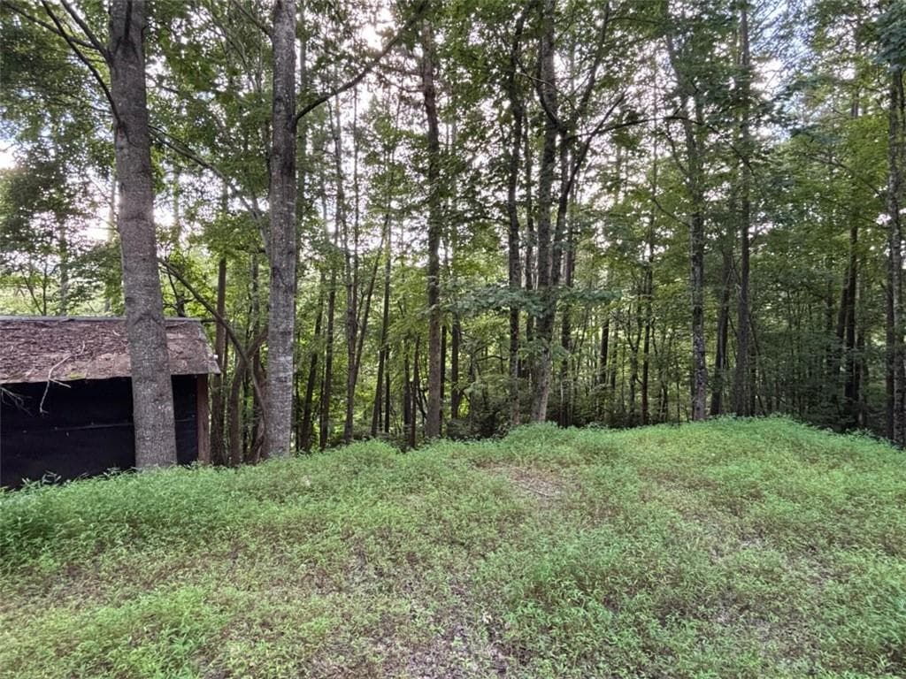 1 bedroom, 1 bathroom single family residence for sale at 1163 Tipton Springs Road, Morganton, GA 30560 — photo 4