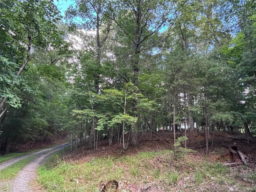 1 bedroom, 1 bathroom single family residence for sale at 1163 Tipton Springs Road, Morganton, GA 30560 — photo 5