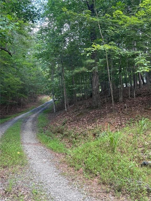 1 bedroom, 1 bathroom single family residence for sale at 1163 Tipton Springs Road, Morganton, GA 30560 — photo 7