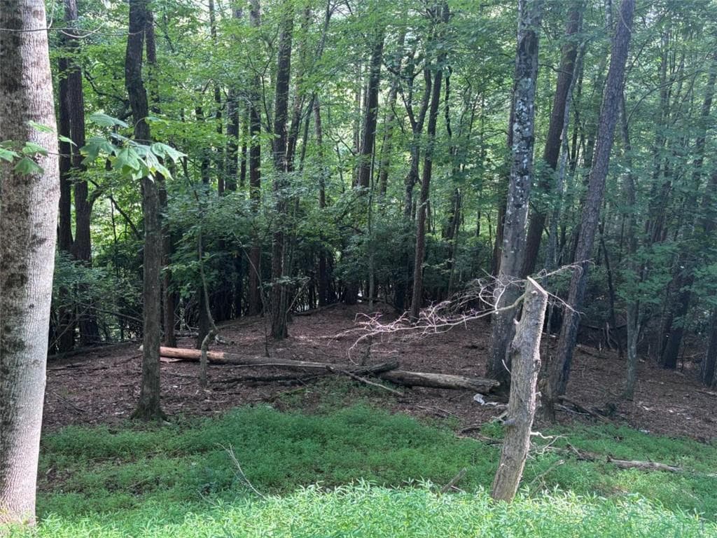 1 bedroom, 1 bathroom single family residence for sale at 1163 Tipton Springs Road, Morganton, GA 30560 — photo 8