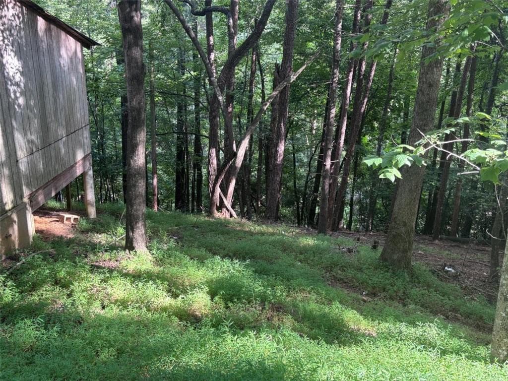 1 bedroom, 1 bathroom single family residence for sale at 1163 Tipton Springs Road, Morganton, GA 30560 — photo 10