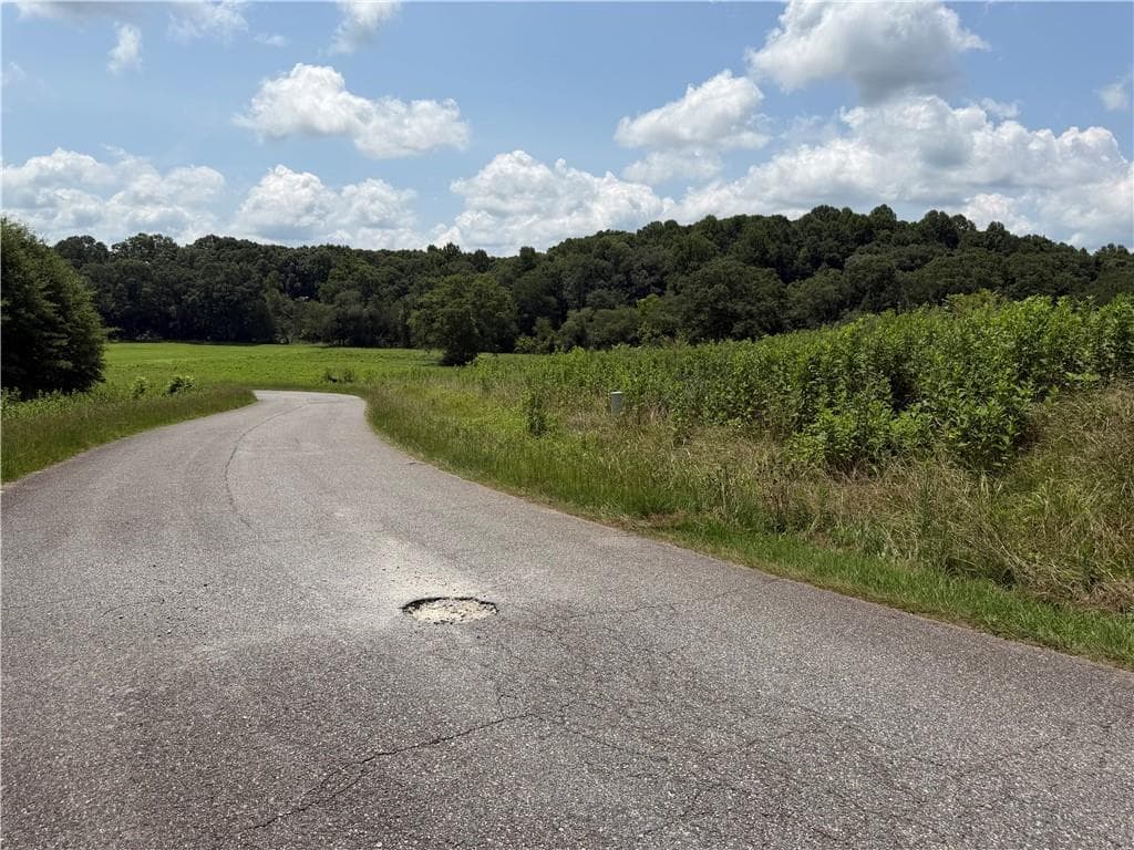 single family residence for sale at 0 Middle Fork Lane, Carnesville, GA 30662 — photo 3