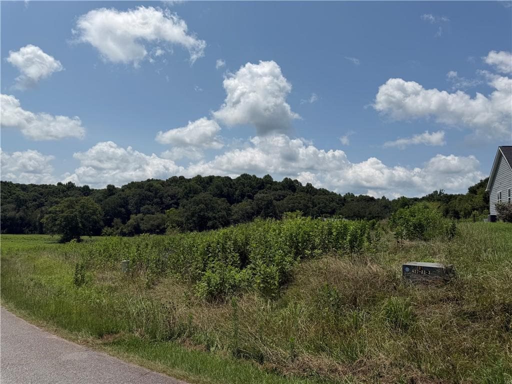 single family residence for sale at 0 Middle Fork Lane, Carnesville, GA 30662 — photo 4
