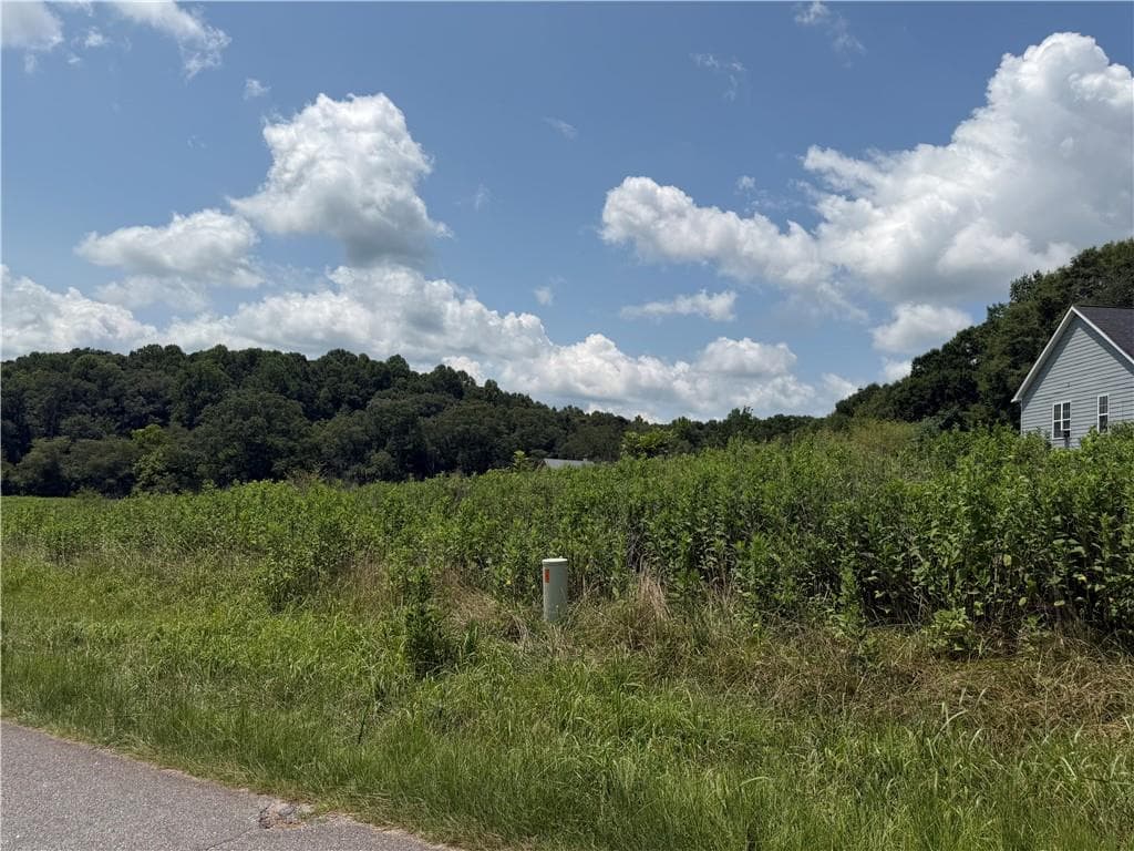single family residence for sale at 0 Middle Fork Lane, Carnesville, GA 30662 — photo 5