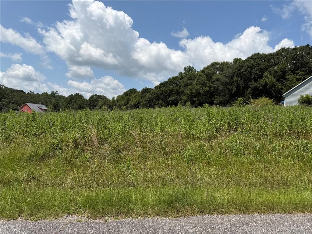 single family residence for sale at 0 Middle Fork Lane, Carnesville, GA 30662 — photo 6
