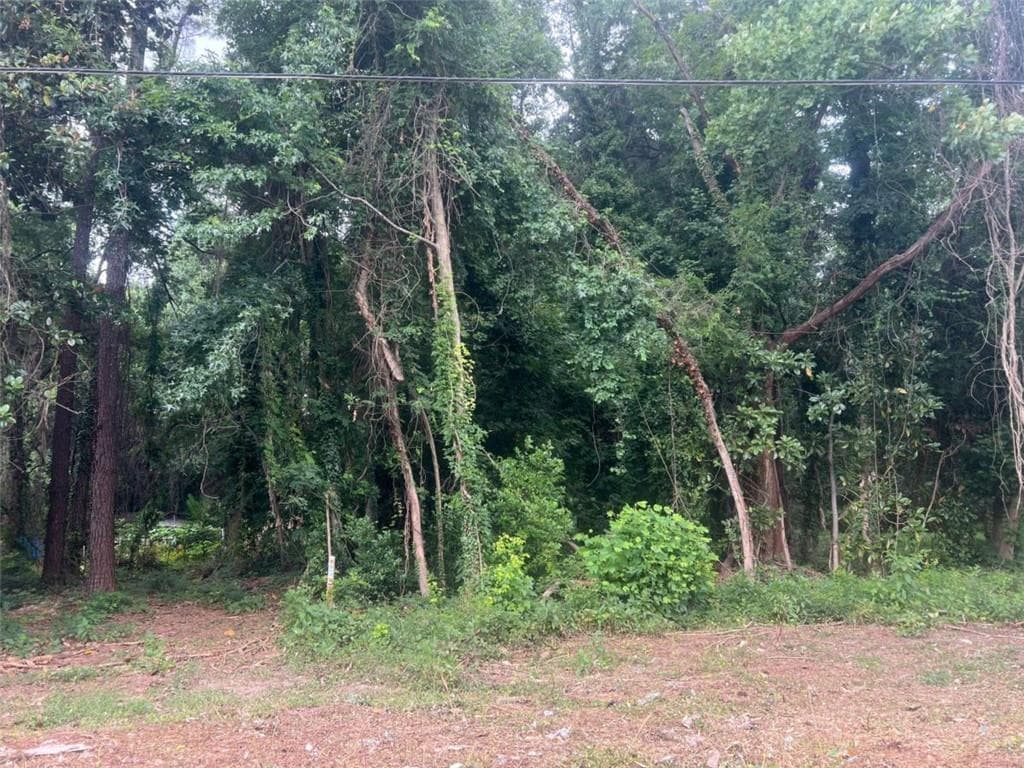 unimproved land for sale at 5547 Jonesboro Road, Morrow, GA 30260 — photo 7