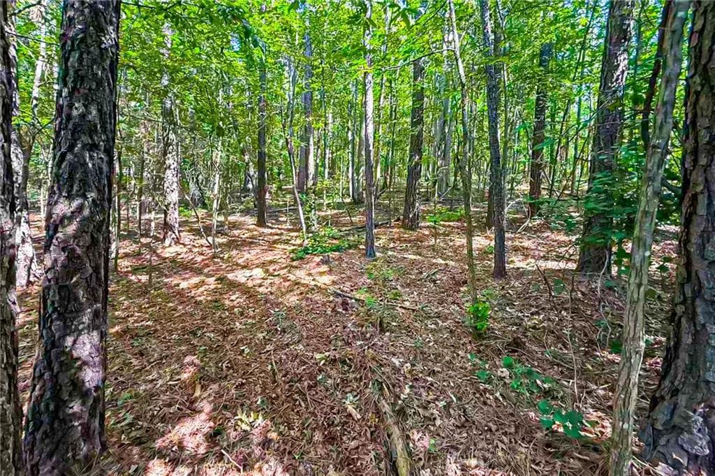 other for sale at 230 Industrial Park Drive, Commerce, GA 30529 — photo 8