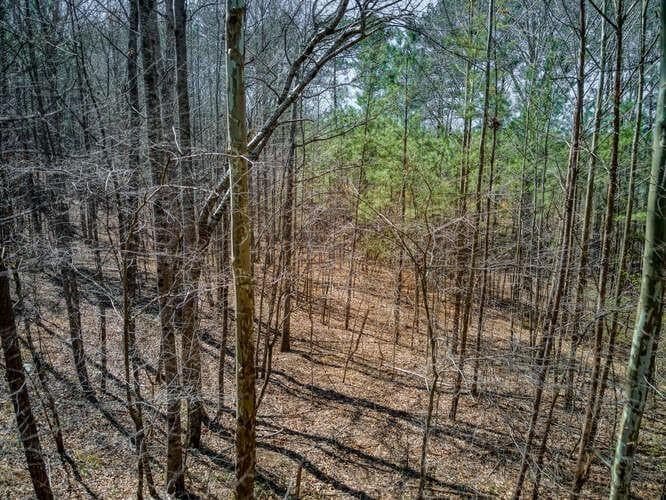 single family residence for sale at 263 Principal Meridian Drive, Dallas, GA 30132 — photo 6