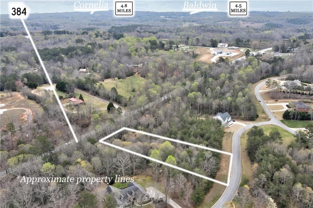 single family residence for sale at 450 Beachwood Drive, Cornelia, GA 30531 — photo 5
