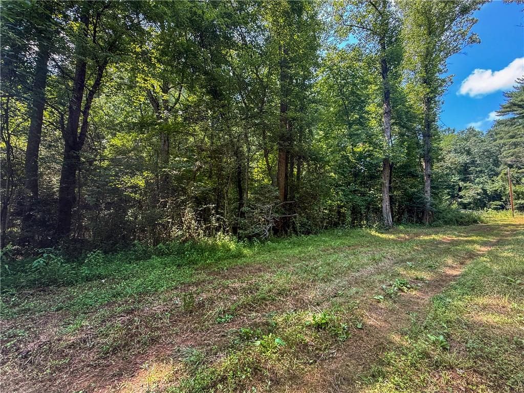 unimproved land for sale at 0 Highway 19, Dahlonega, GA 30533 — photo 3