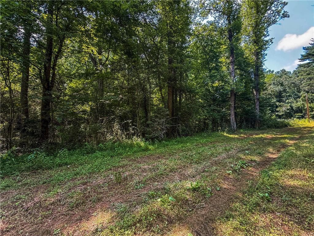 unimproved land for sale at 0 Highway 19, Dahlonega, GA 30533 — photo 4