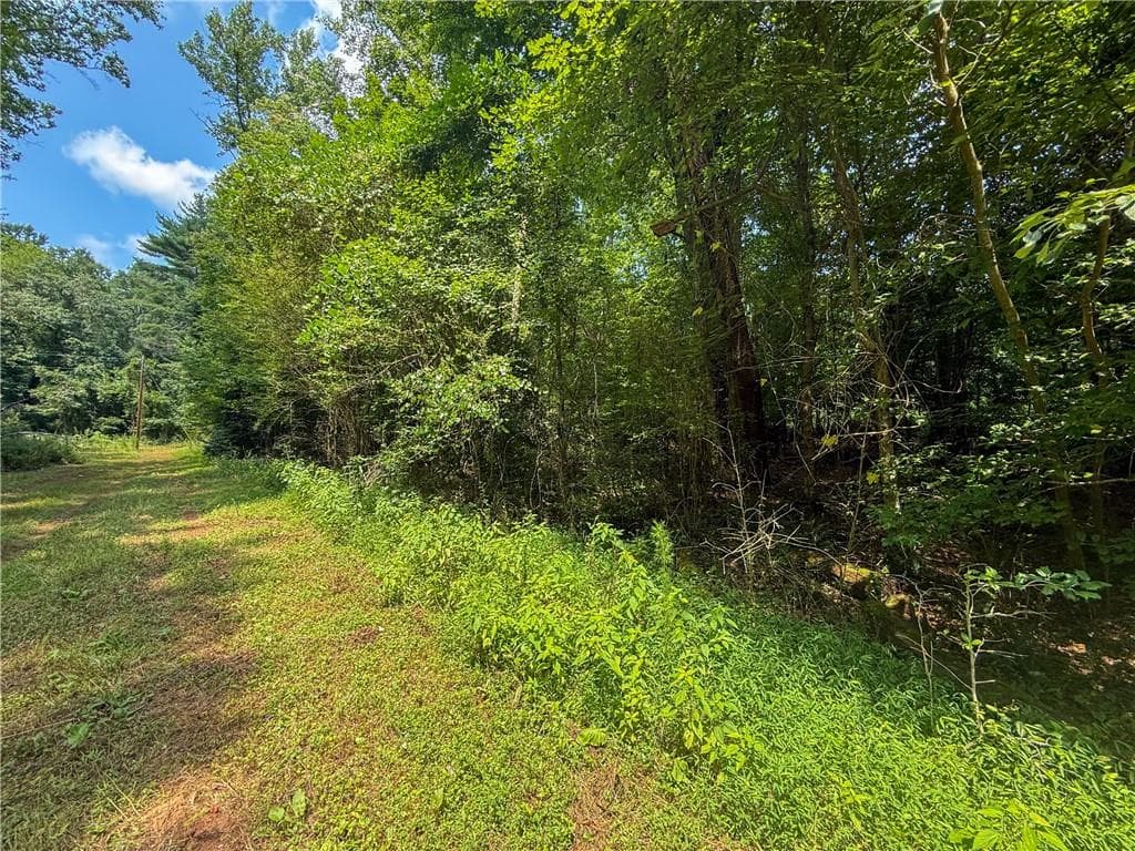 unimproved land for sale at 0 Highway 19, Dahlonega, GA 30533 — photo 5