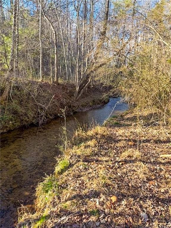 unimproved land for sale at 0 Highway 19, Dahlonega, GA 30533 — photo 6