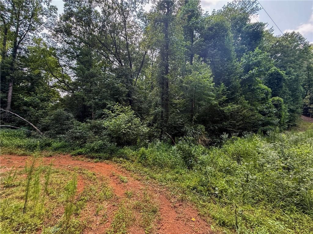 unimproved land for sale at 0 Highway 19, Dahlonega, GA 30533 — photo 7