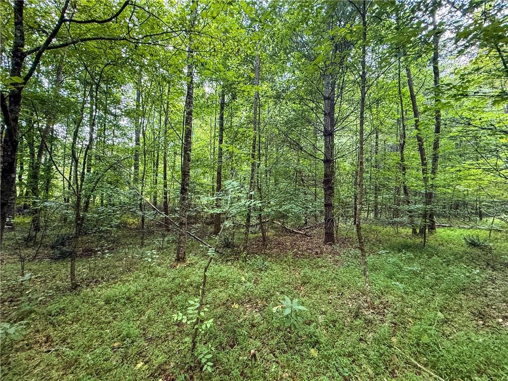 unimproved land for sale at 0 Highway 19, Dahlonega, GA 30533 — photo 8