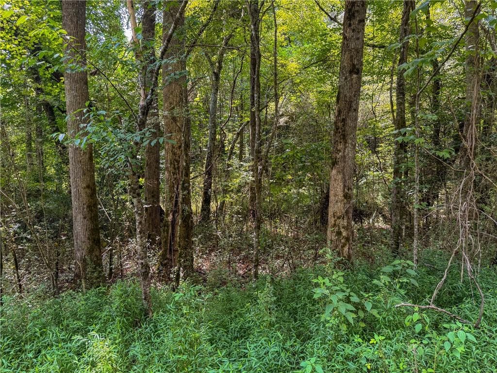 unimproved land for sale at 0 Highway 19, Dahlonega, GA 30533 — photo 9