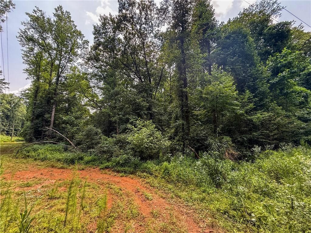 unimproved land for sale at 0 Highway 19, Dahlonega, GA 30533 — photo 10