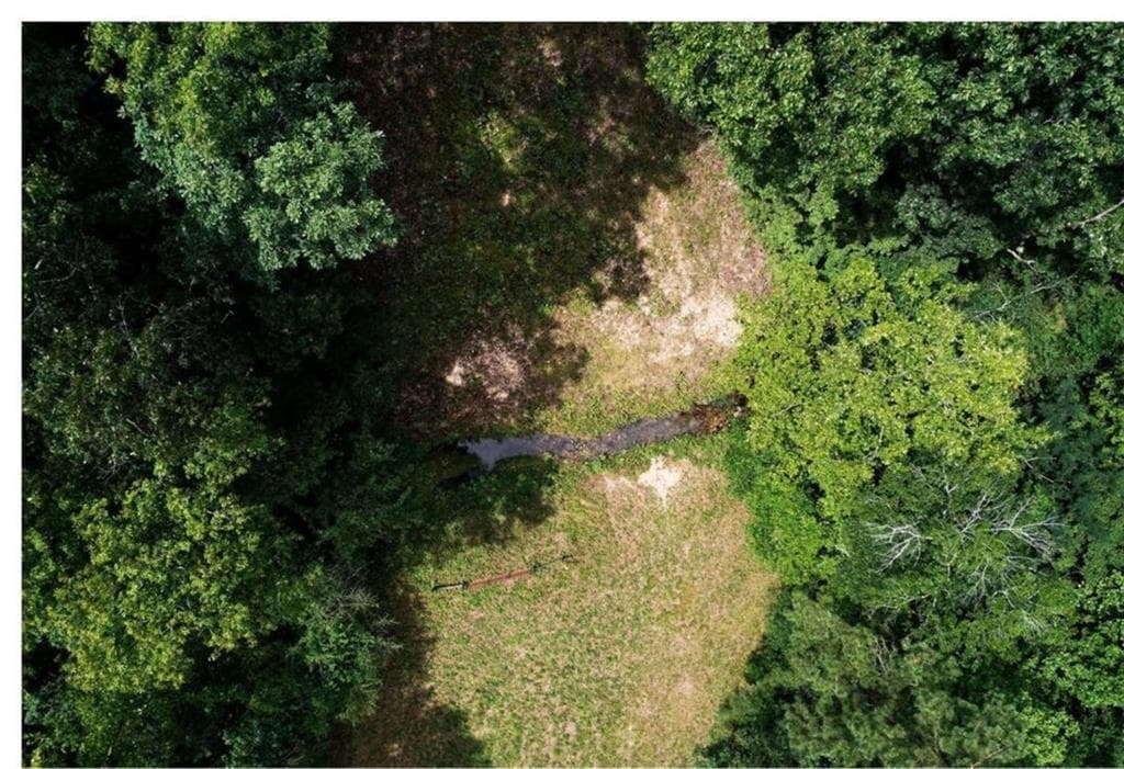 unimproved land for sale at 0 Hanes Road, Oakman, GA 30732 — photo 2
