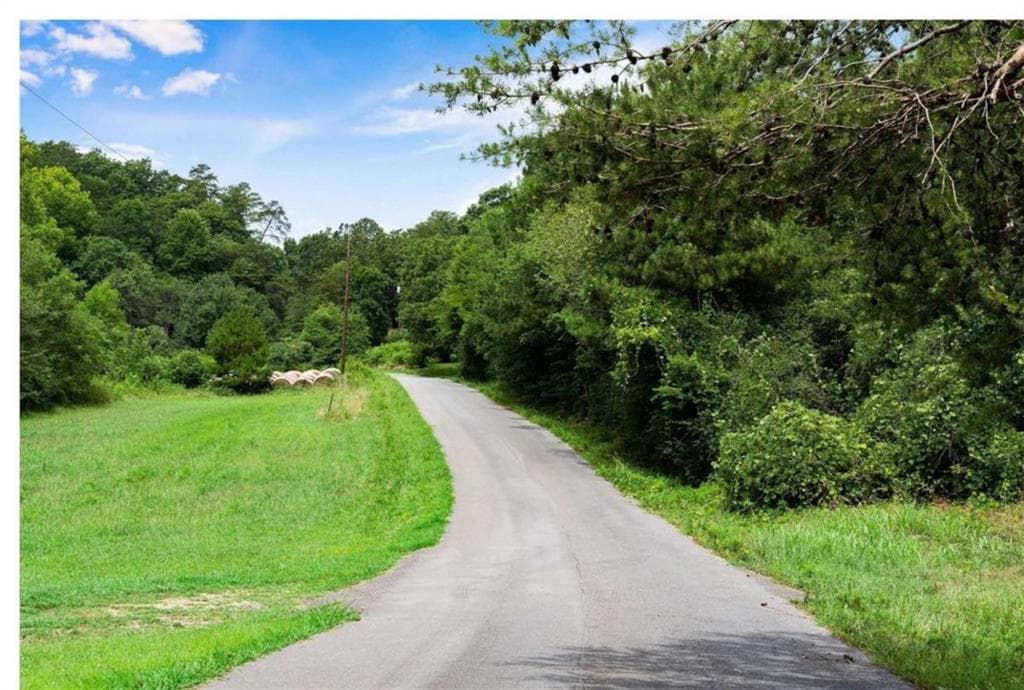 unimproved land for sale at 0 Hanes Road, Oakman, GA 30732 — photo 3