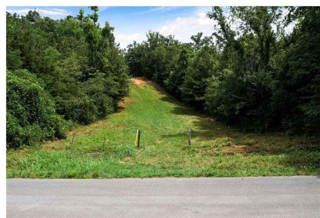 unimproved land for sale at 0 Hanes Road, Oakman, GA 30732 — photo 4