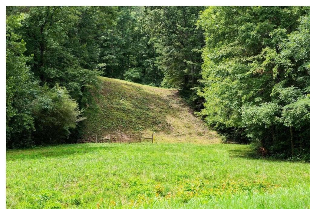 unimproved land for sale at 0 Hanes Road, Oakman, GA 30732 — photo 5