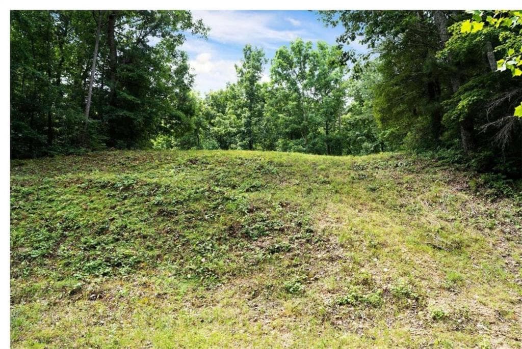 unimproved land for sale at 0 Hanes Road, Oakman, GA 30732 — photo 6