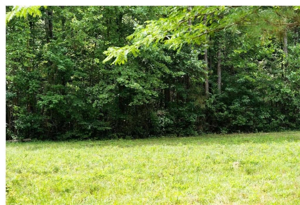 unimproved land for sale at 0 Hanes Road, Oakman, GA 30732 — photo 7