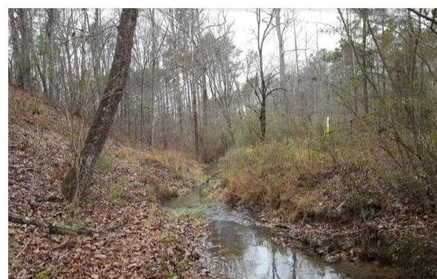 unimproved land for sale at 0 Hanes Road, Oakman, GA 30732 — photo 9