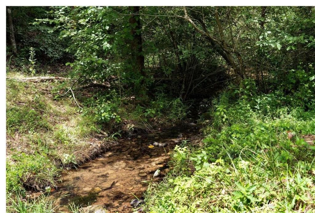 unimproved land for sale at 0 Hanes Road, Oakman, GA 30732 — photo 10