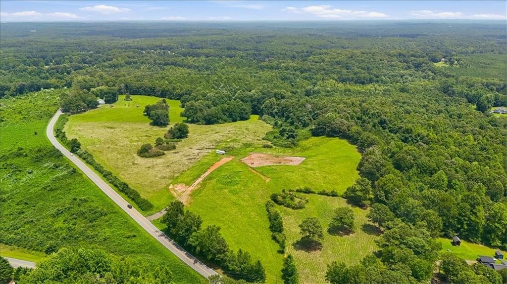 unimproved land for sale at 000 Rainey Road, Temple, GA 30179 — photo 3