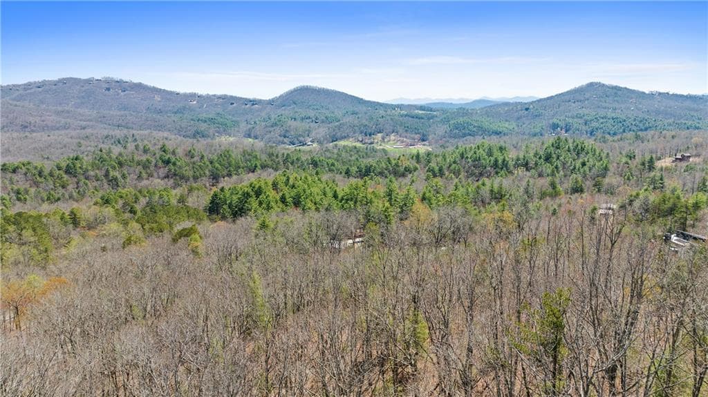 other for sale at 40B Synacia Road, Mineral Bluff, GA 30559