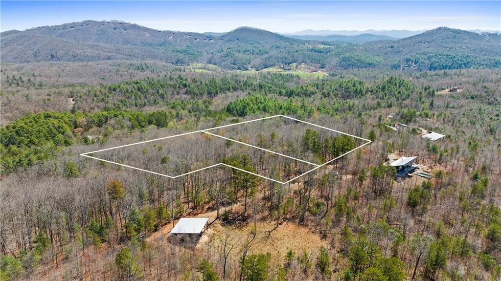 other for sale at 40B Synacia Road, Mineral Bluff, GA 30559 — photo 9