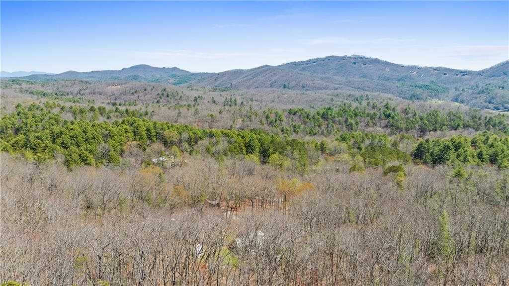 other for sale at 40B Synacia Road, Mineral Bluff, GA 30559 — photo 10