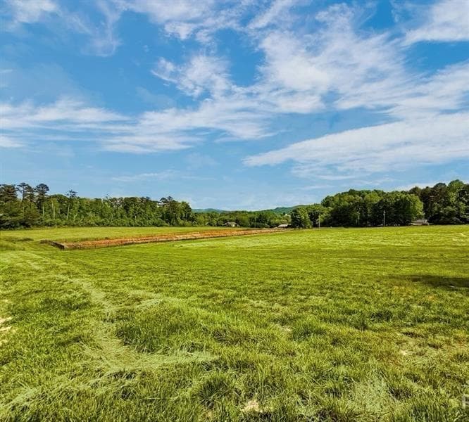 single family residence for sale at 114 PALISADE Drive, Rydal, GA 30171 — photo 2