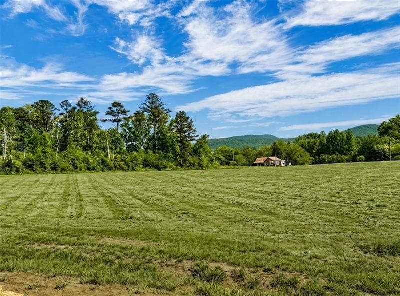 single family residence for sale at 118 Palisade Drive, Rydal, GA 30171 — photo 1 of 10