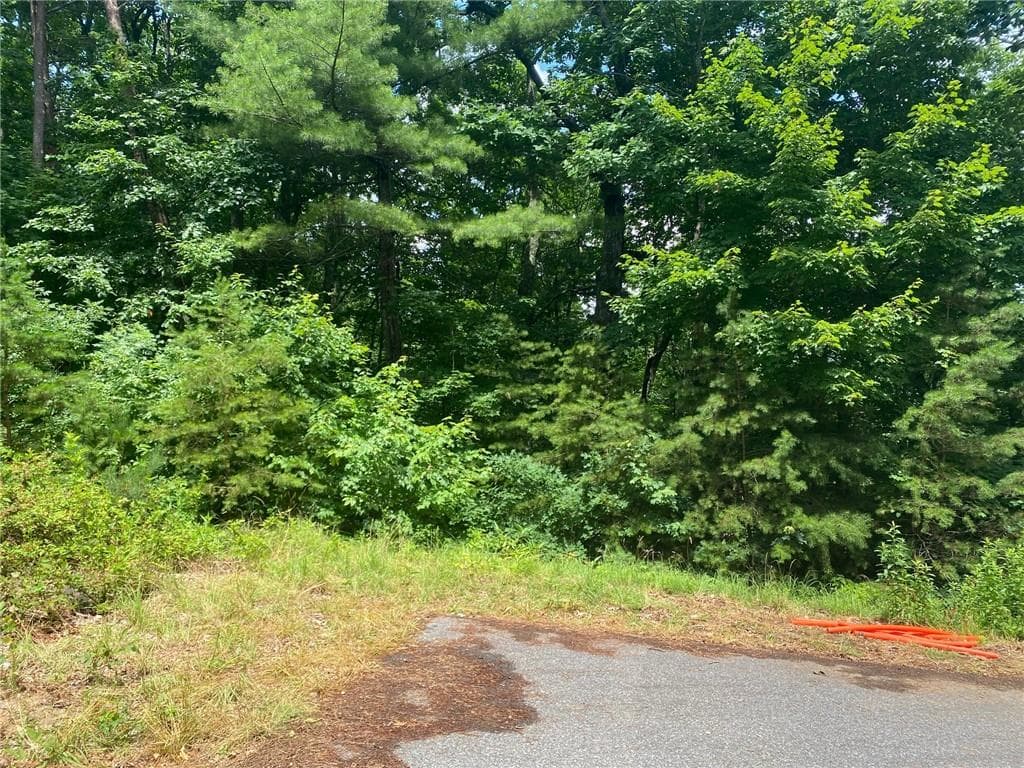 single family residence for sale at 0 Sunrise Ridge, Blairsville, GA 30512 — photo 2