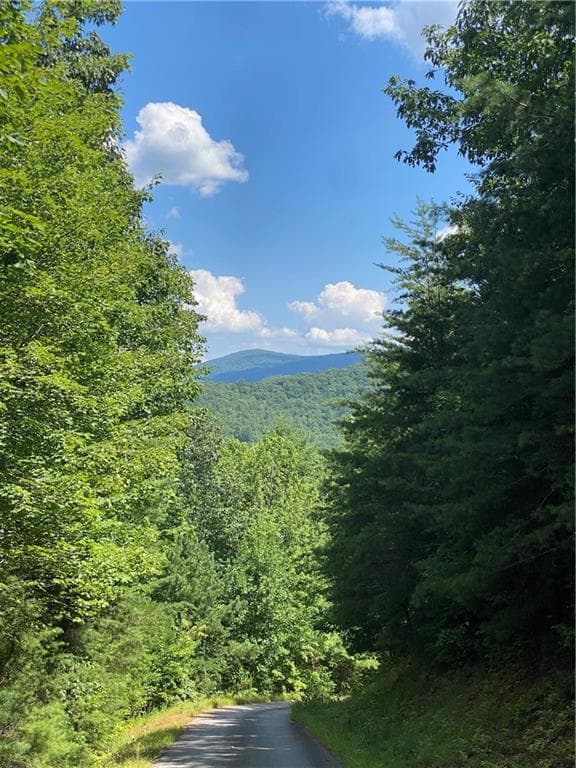 single family residence for sale at 0 Sunrise Ridge, Blairsville, GA 30512 — photo 5