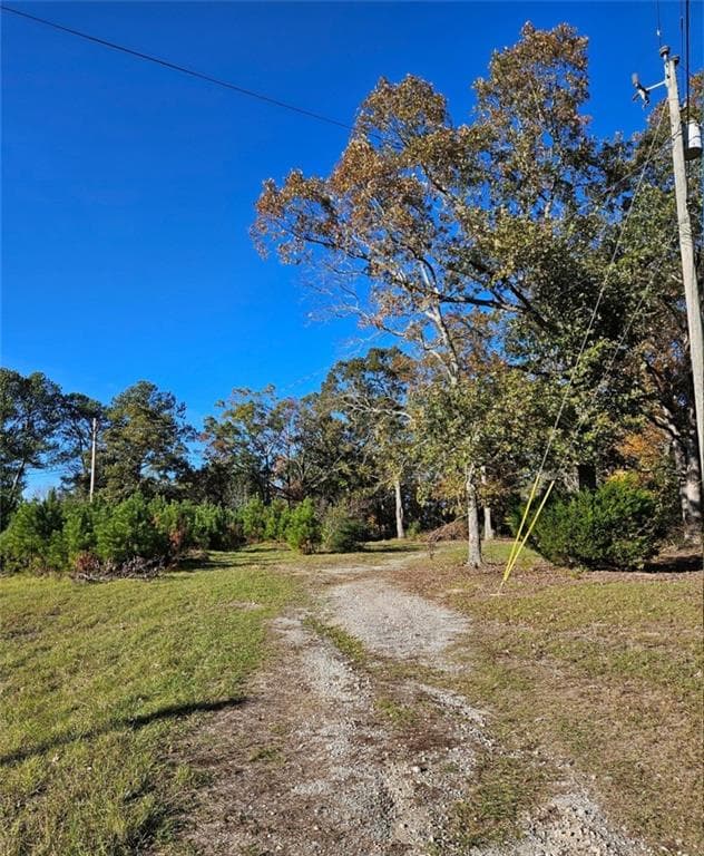 unimproved land for sale at 1993 Smyrna Road, Conyers, GA 30094 — photo 4