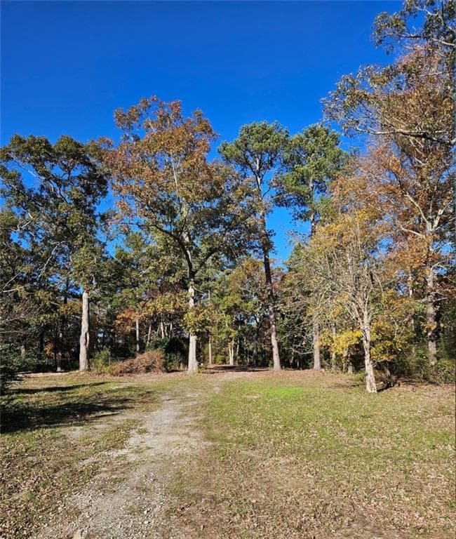 unimproved land for sale at 1993 Smyrna Road, Conyers, GA 30094 — photo 5