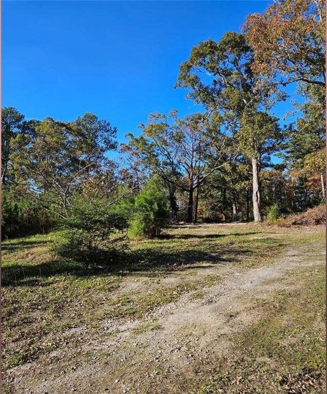 unimproved land for sale at 1993 Smyrna Road, Conyers, GA 30094 — photo 6