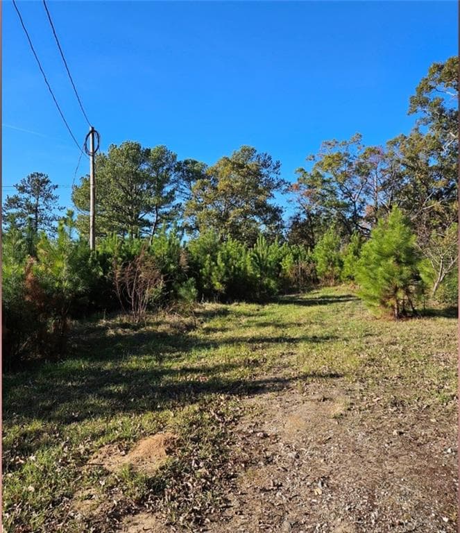 unimproved land for sale at 1993 Smyrna Road, Conyers, GA 30094 — photo 7