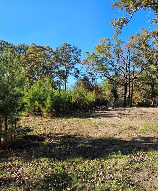 unimproved land for sale at 1993 Smyrna Road, Conyers, GA 30094 — photo 9