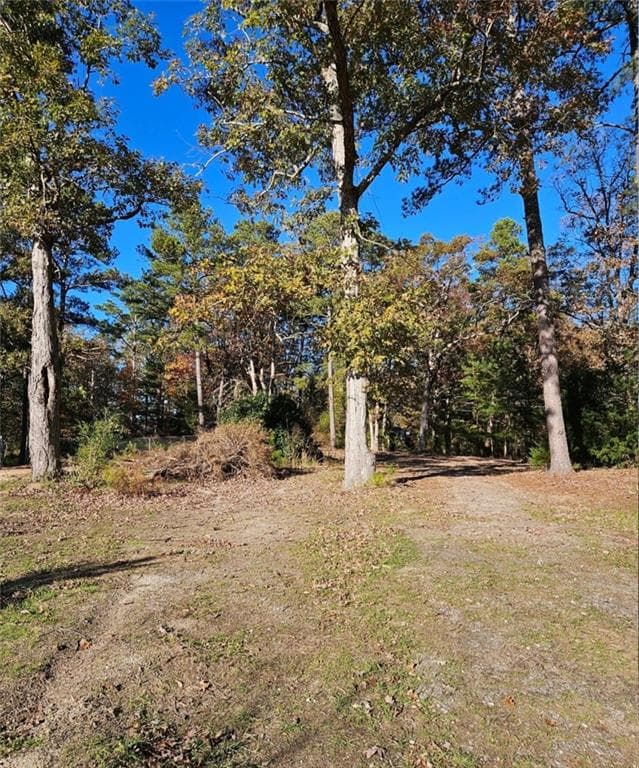 unimproved land for sale at 1993 Smyrna Road, Conyers, GA 30094 — photo 10